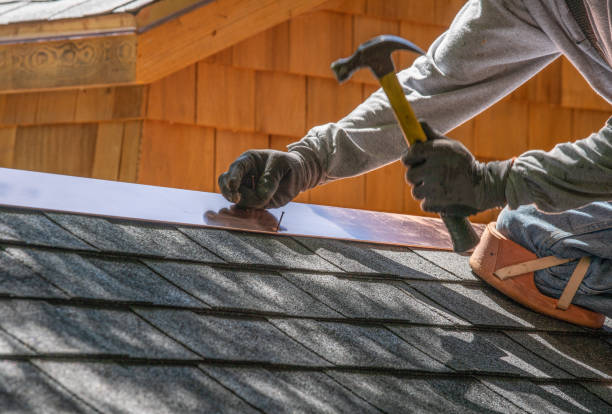 Best Metal Roofing Installation  in Farmington, NM